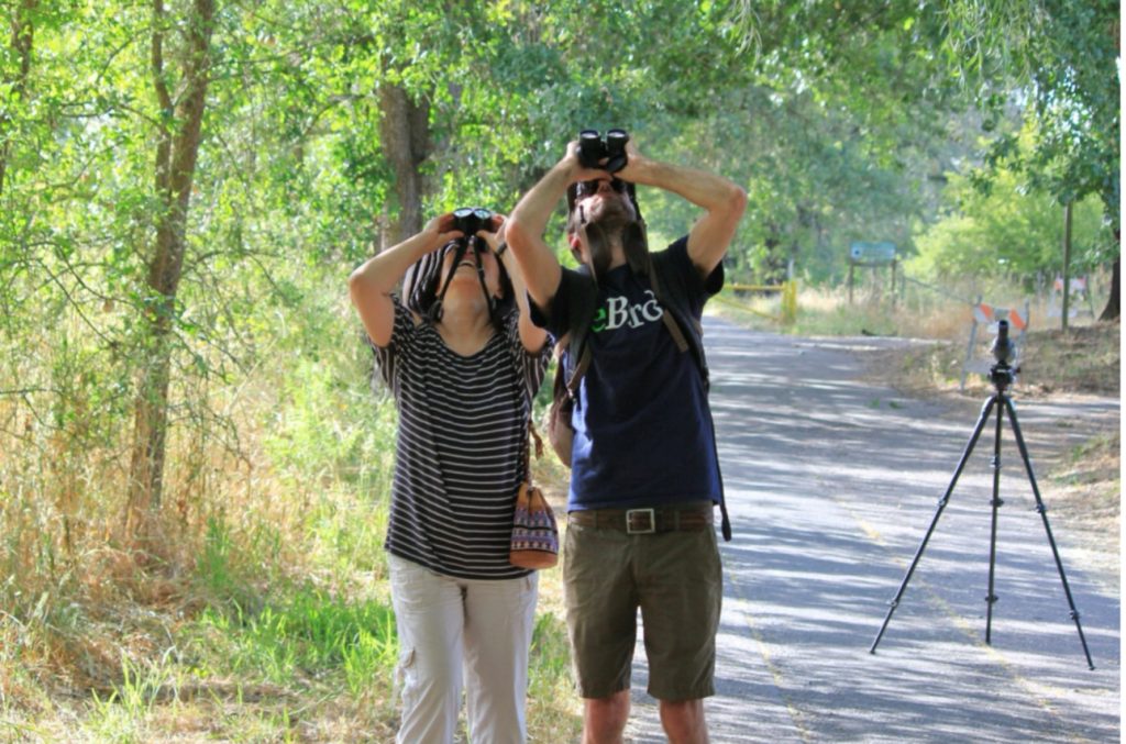 checking all the birds around during the bird watching class.