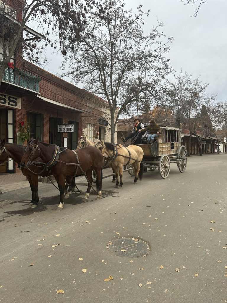 stagecoach you can ride in the park